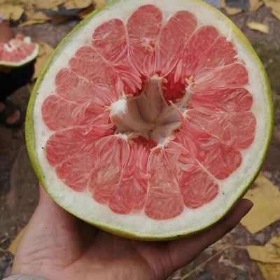 紅心柚批發價格探析 優質貨源，價優物美